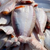 자연맛남 영덕 손질 반건조 참가자미 6-8미(800g내외/암수랜덤), 1
