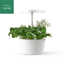 에어베리 스마트정원 세트 식물재배기 수경재배기, [유럽샐러드] 로메인+루꼴라+바질