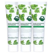 부케가르니 나드 미백 치약, 60g, 6개