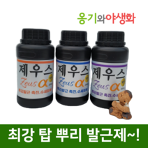 옹기와야생화 제우스알파 강력한 뿌리 발근제 수세회복 세력증강 액상영양제, 제우스 알파 250cc