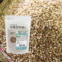[오창농협] 무농약 차수수 500g, 단품