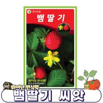 뱀딸기 씨앗 - 50립 / 딸기씨앗 딸기 산딸기 모종 키우기 쉬운 / DW1