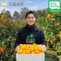 스테비아급 고당도 제주 조생 타이벡 유라실생 유라조생 불로초 감귤, 불로초감귤 3kg / 2S-M