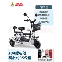 전기 킥보드 3륜 보드 전동 바이크 세발, B, 48V