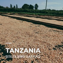 [생두] 탄자니아 음베야 AAA FAQ 1kg