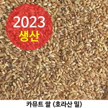 2023년산 카뮤트 호라산밀 다이어트와 당뇨에 좋은 슈퍼푸드 카뮤트쌀 4kg, 1개