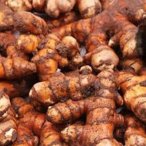 생울금 신선농장 생강황, 10kg