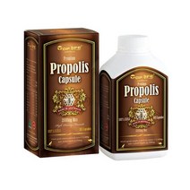 Top Life PROPOLIS 탑라이프 프리미엄 프로폴리스 2000mg 365캡슐, 1개, 1
