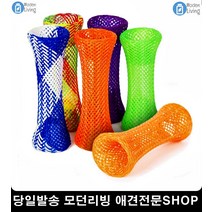 고양이키우는법 캣흔들장난감 고양이본능자극 아기고양이키우기
