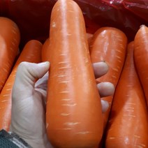 [ 당일발송 ]새벽들 세척당근 특품 10kg, 1box
