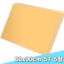 대원 양면칼라폼보드/시안보드 60x90cm 5T 5장 (5mm A1크기), F-111