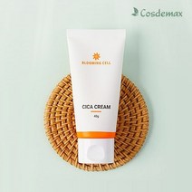 피부고민케어 병풀 마데카소사이드 흔적 여드름 시카 크림 40g