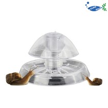 영아쿠아 달팽이 제거 달팽이 덫 달팽이 트랩
