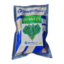 대농씨드 시금치씨앗 로얄미도리시금치 500g