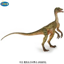 공룡피규어 파포 공룡모형 콤프소그나투스 -72394EA