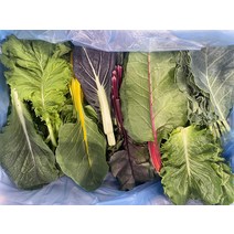 모듬 쌈채소 특 7-10종 2kg 한박스, 1개