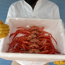 포항 구룡포홍게 연지홍게 자숙홍게 3kg, 정품 연지홍게 3kg_6마리