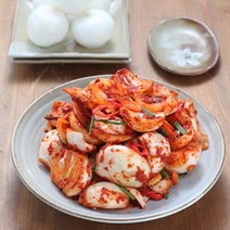 (미식관) 해남 화원농협 양파(장)김치3kg -, 1.양파김치3kg