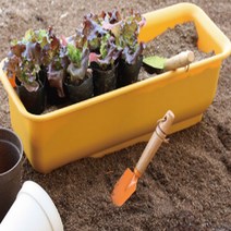 화분 텃밭 베란다 플라스틱 화분 45cm, 화이트