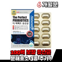 프로바이오틱 500억 투입 유산균 프로바이오틱스 유산균 100억 보장 식약처인증 포스트바이오틱스 바이오텍스 유익균 먹는 식물성 캡슐 건강기능식품, 3통(2개월분)