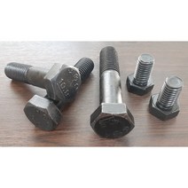 고장력(특강)육각볼트 M22x40 외 열처리볼트 사이즈선택