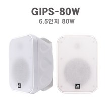 GNS GIPS-80W 방수 매장용스피커 카페스피커 패션스피커 옥외용스피커