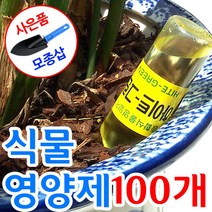 국산30년 전통 식물 영양제 / 화분 화초 복합 비료 다육이 거름