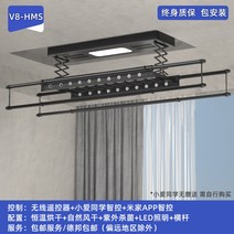 자동 미니 스텐 베란다 행주 대형 전동건조대 스마트리모콘 발코니 건조대 가정용건조대 쿨링건조대, 09 8HMS블랙미카엘 건조풍건