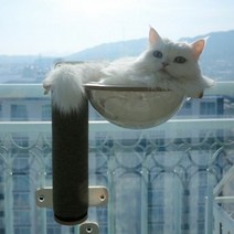 1300K 브리스캣 윈도우캣 창문 캣타워 스텝타입 CWS03, 단품