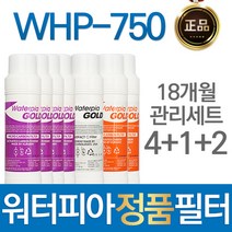 루헨스 WHP-750 원봉 워터피아 정품 정수기 필터 1년관리세트, 선택01_1년관리세트(3+1+1=5개)