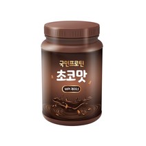국민프로틴 WPI 게이너 초코곡물맛 살찌는보충제 탄수화물 단백질 1kg, 1개, 1개