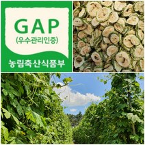 그날 따서 말린 22년산 건여주 국내산 무농약 건여주 야곱의 꿈 농장 600g, 1개
