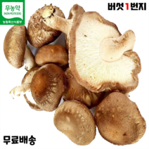 마른표고버섯 판매량 많은 상위 10개 상품