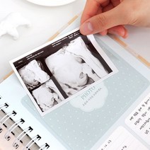 임신초음파사진앨범 인기순위 가격정보