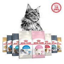 로얄캐닌 고양이 사료 1.2kg (400g 소포장 3개) 모음, 브리티쉬숏헤어 1.2kg (400g 3개)