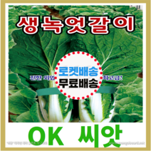 [OK씨앗] [생녹엇갈이배추] 엇갈이배추씨앗(오케이씨앗), 25g