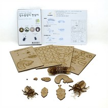 [자연과디자인 3D-woodcraft] 장수풍뎅이 한살이 퍼즐, 선택옵션, 장수풍뎅이한살이