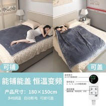 물세탁 진드기제거 전기 매트 담요 CS, 그레이, 한 사이즈