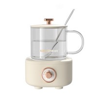 홍삼만들기 경옥고만들기 약탕기 600ml 전기 주전자 휴대용 스튜 컵 건강 보존 냄비 삶은 물 차 난방 사무, 03 C white 400ML_03 AU
