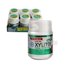자일리톨껌 오리지날 6입 졸릴때 간식 52g 핀란드자일리톨 운전 XYLITOL 자일리톨 씹는칫솔 자일리톨용기, 단품