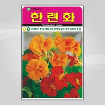 슬로시 꽃 씨앗 모음 꽃씨 허브 허브씨, 한련화20립(아람)