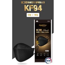 휴그린 마스크 블랙 KF94 대형 1매입 미세먼지 차단 황사 방역 성인용, 1개입, 1개