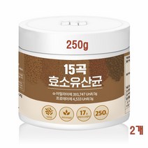 곡물발효 효소 유산균 소화 흡수 곡물효소 아밀라아제 프로테아제 효소추천 포스트바이오틱스 낙산균 차세대유산균 발효효소분말 가루 15곡 효소유산균효능 발효곡물효소 250g x 2통, 250gx2통