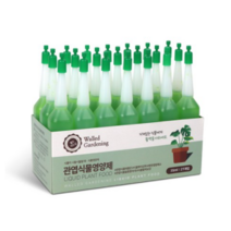 월드가드닝 관엽식물 영양제 앰플, 60개