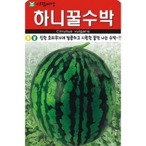 (씨앗)하니꿀수박20립-진한 호피무늬에 달콤하고 시원한 꿀맛 나는 수박