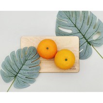 분위기바꾸기 원룸인테리어 거실장식 인조나무잎 나뭇잎 조화 3p 세트 나무만들기