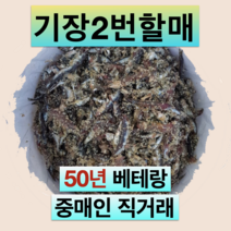 기장 생멸치 소금간 15kg 30kg - 통 멸치젓 부산 대변항 액젓 김장, 22년 봄 햇멸치 15kg, 1개