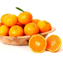 [올레돌밭농원] 23년 제주직송 햇 하우스감귤 1.5kg 2.5kg 4.5kg 가정용, 1.5Kg (꼬마소과), 1개