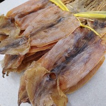 가락시장 쫄쫄이배 마른 오징어 5마리 430g 부드러운 간편간식 먹거리 건어물, 쫄쫄이배오징어5마리(430g)