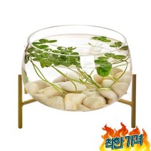 둥근유리어항 항아리 거북 금붕어 금어항, 옵션4